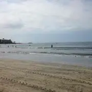 ことゆー