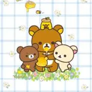 Ｋ＆Ｃの画像