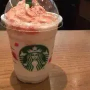 ぽんの画像