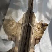 ✲はな✲プロフ必読*