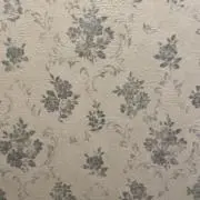 【おまとめで2点目10%引き】ぺんたんの画像
