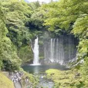 カオリの画像