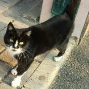 mimimiの画像