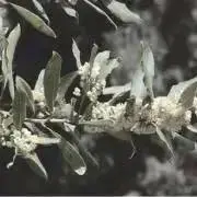 きょうの画像