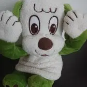 ぽぽぽぽーい