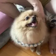 Naomiの画像