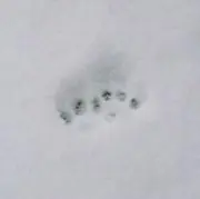 ユンの画像