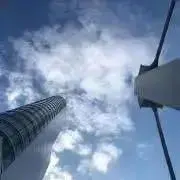 mayaの画像