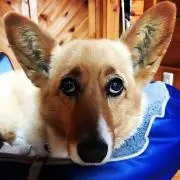 エリツィン⭐︎の画像