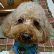 りみあみ