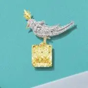 ゆきの画像