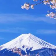 mahalo☆プロフ必読☆の画像