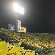 まつ