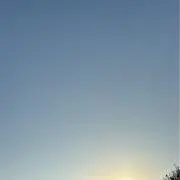 るかの画像