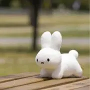 ゆうの画像