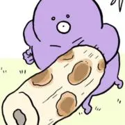Tの画像