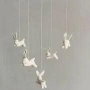 digreenの画像