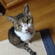 ぎんのすけ❤️寒くなってきた❤️の画像