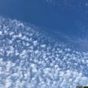 アマビエ母