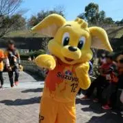 こぱるの画像