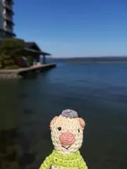 まる子の画像