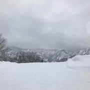 あいかわの画像
