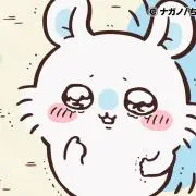 ねこまる