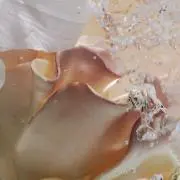 ライの画像