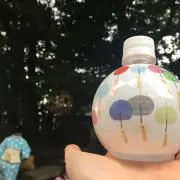 マメの画像