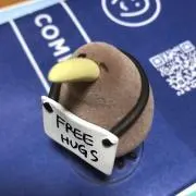 pokkeの画像