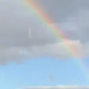 ハートの画像