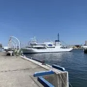 ミルミルの画像