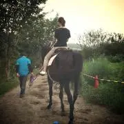 amigo
