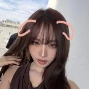 penyu