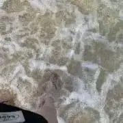 nnnnの画像
