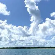 だいこーままの画像
