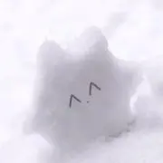 taiyakiの画像