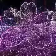 ♡素敵なお取引に感謝致します♡の画像