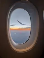 なになむの画像