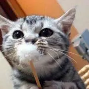 うるち米