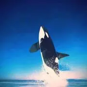 チーミー