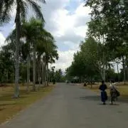 チロの画像