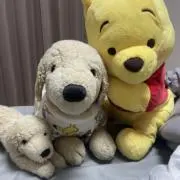 ペロちゃんの画像