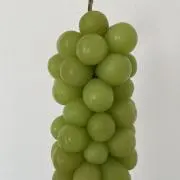 にっき