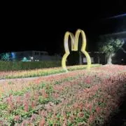 AIMI(プロフみて！)の画像