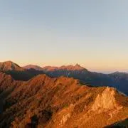 ハニービーの画像