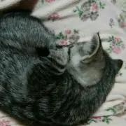 naoの画像