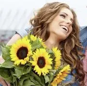 sunflowerの画像