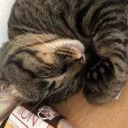 Someの画像
