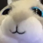 Mの画像